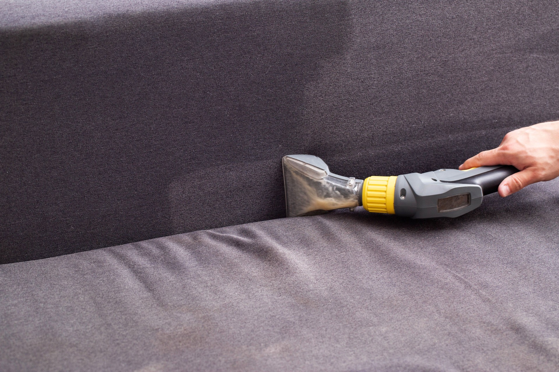 Professional dry cleaning of the sofa with a special chemical solution and a washing vacuum cleaner. Copy space for text